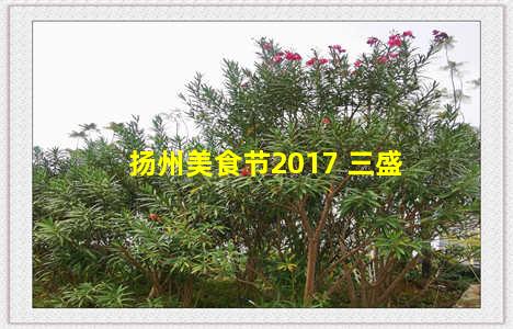 扬州美食节2017 三盛